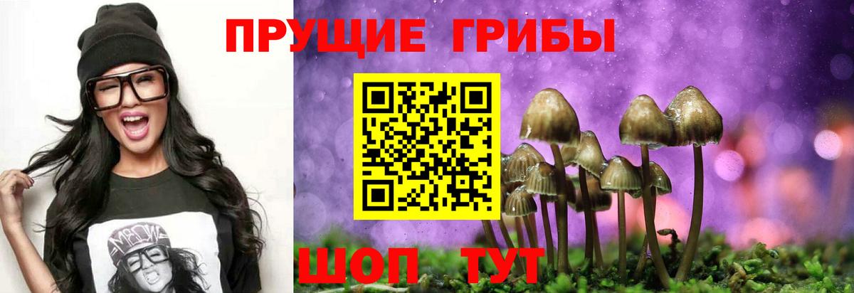 Псилоцибиновые грибы GOLDEN TEACHER  Вход с VPN  Галлюциногенные грибы прущие грибы  Ревда 