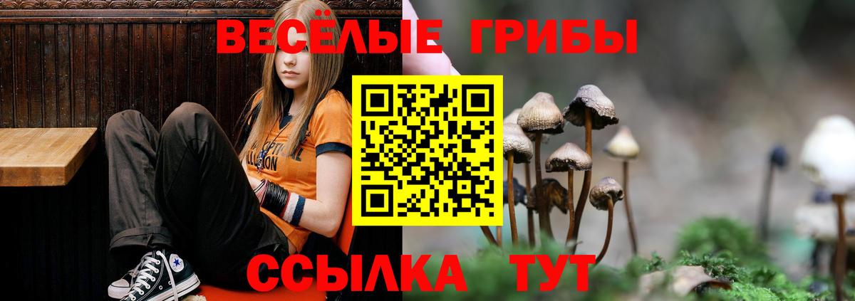 Псилоцибиновые грибы прущие грибы Ревда